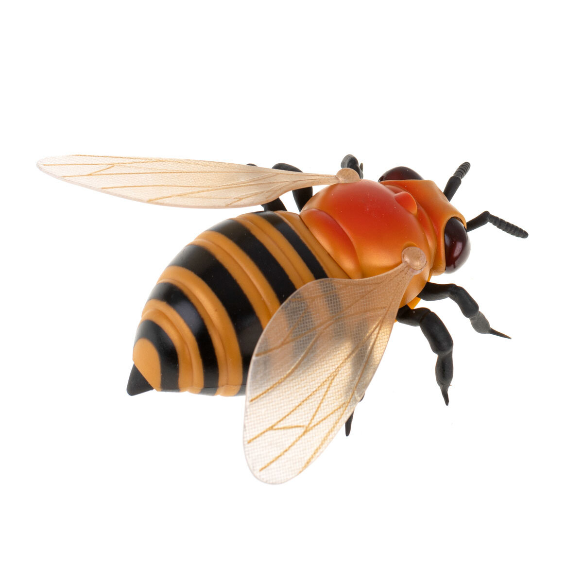 Pszczoła RC - bok
