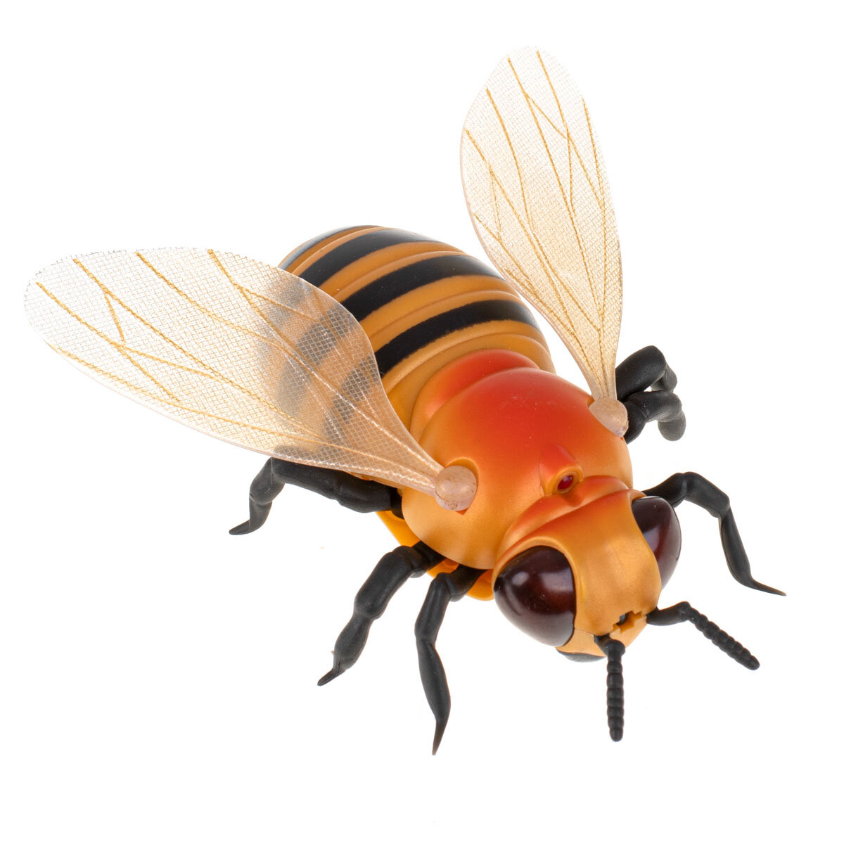 Pszczoła RC - główne