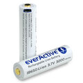 Akumulator everActive 18650 3,7V Li-ion 3200mAh micro USB z zabezpieczeniem + BOX