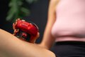 Bańka chińska elektroniczna Humanas BB01 Plus - czerwona