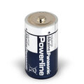 Bateria alkaliczna Panasonic Industrial Powerline LR20/D (tray) - 85 sztuk