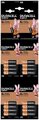 BATERIE LR6 AA 16PAK (4X4) DURACELL BASIC MN1500