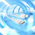 HOCO kabel Typ C do Lightning PD 27W X37 1 m biay