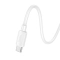 HOCO kabel Typ C do Typ C PD 3A 60W X96 1 m biay