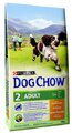 Karma dla dorosłych psów Purina Dog Chow Adult Kurczak 14kg