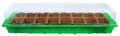 Mini szklarnia plastikowa z paletką doniczek torfowych 54 cm