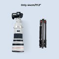 Statyw K&F Concept K254A3 z głowicą kulową BH-28L