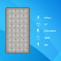 Zestaw Newell Rangha Set - Lampa LED RGB-W Rangha z dyfuzorem i statywem