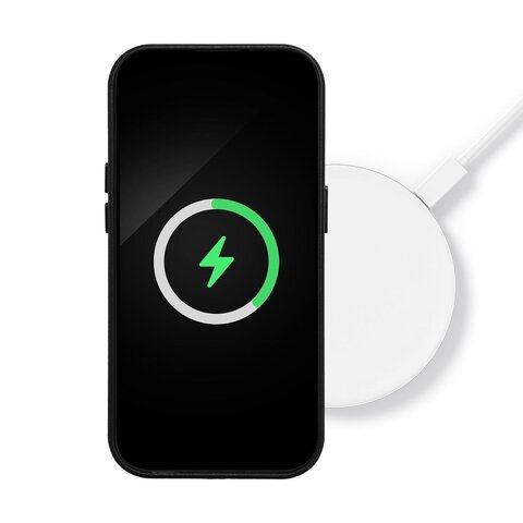 Leather Mag Cover kompatybilne z MagSafe do IPHONE 11 PRO czarny
