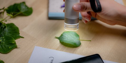 Mikroskop cyfrowy BeaverLAB DDL-DDL M1