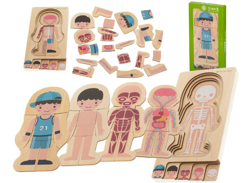 Edukacyjne puzzle drewiane montessori budowa ciała chłopiec 28 puzzli
