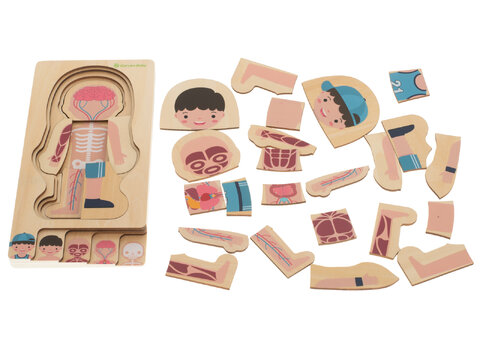 Edukacyjne puzzle drewiane montessori budowa ciała chłopiec 28 puzzli